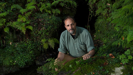 IRELAND'S NATIVE RAINFOREST HERITAGE - A TALK WITH EOGHAN DALTUN