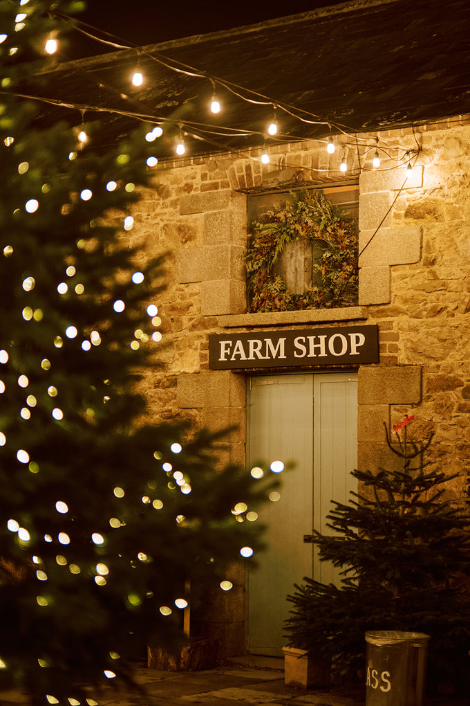 MADE WELL - Irish Craft in Christmas Lights