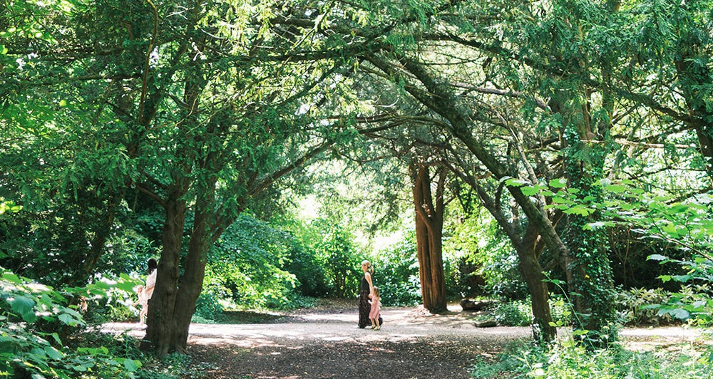 ELLEN FRANCES - ONE ARTIST'S STAY AT KILLRUDDERY – Killruddery House