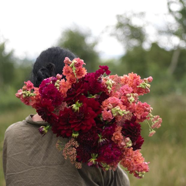 Killruddery Cut Flowers
