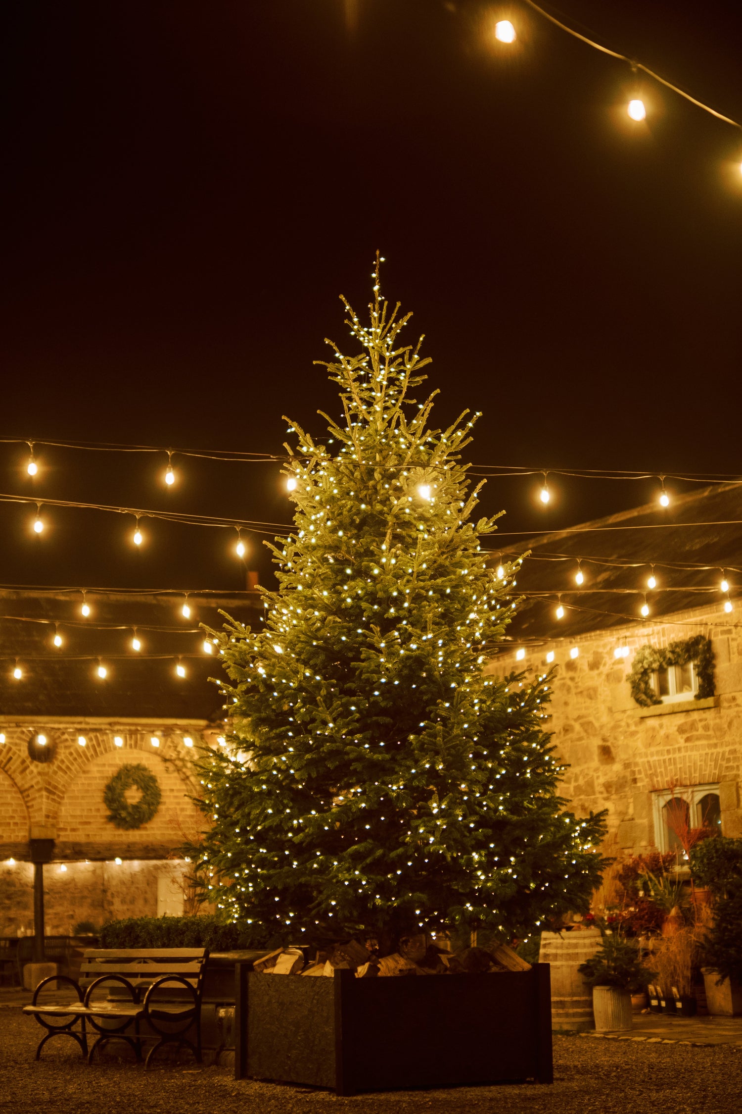 Collections – Killruddery House