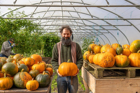 Killruddery's First Giant Pumpkin Growing Competition for 2027