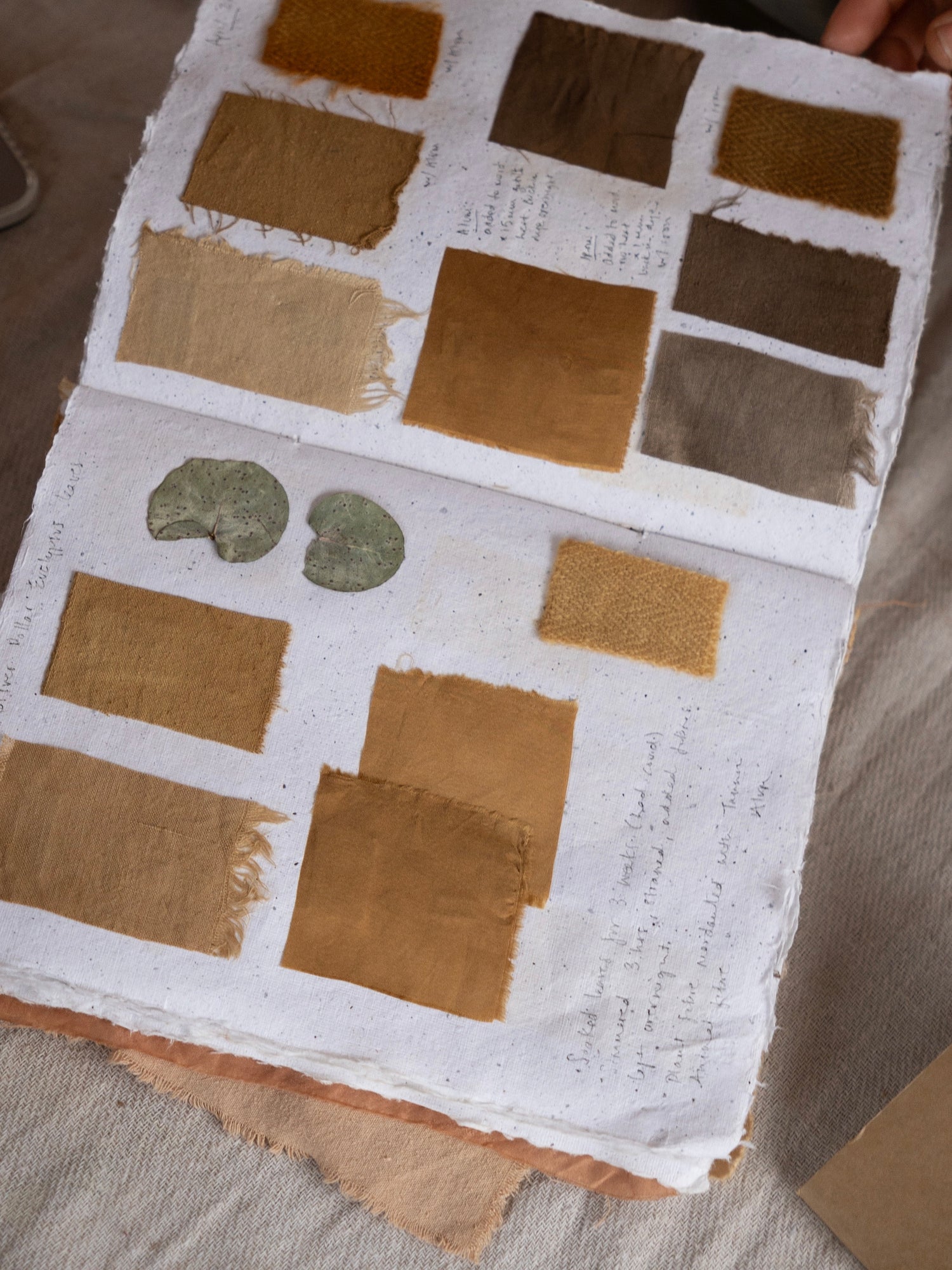 Workshop: The Colour Beneath; Discovering Natural Dye From Plants with Kathryn Davey