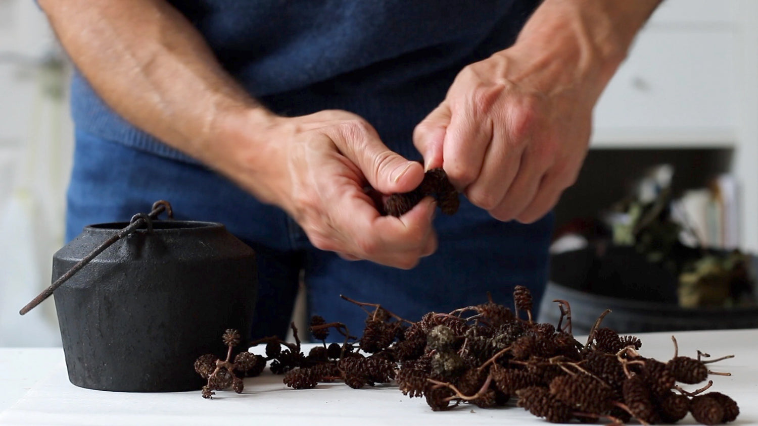 Workshop: Oak Gall Ink Making, Drawing & Painting