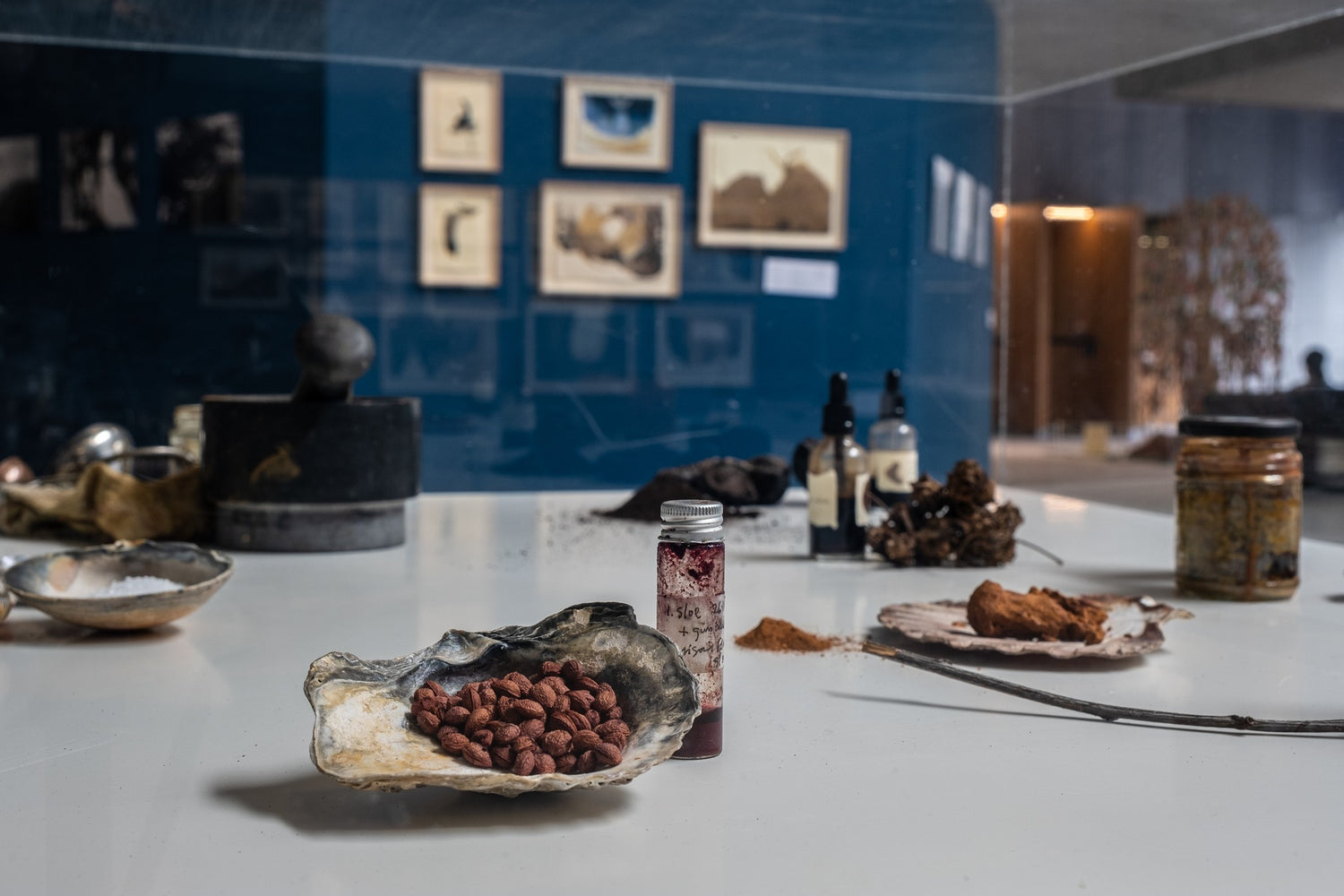 Workshop: Oak Gall Ink Making, Drawing & Painting