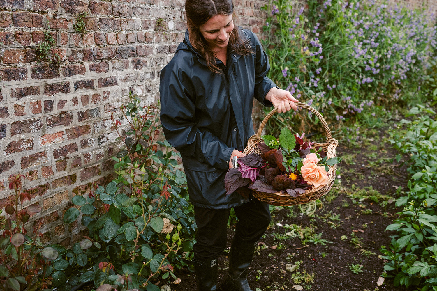 Workshop: Grow Your Own Cut Flowers with Killruddery Gardener Annette Daly