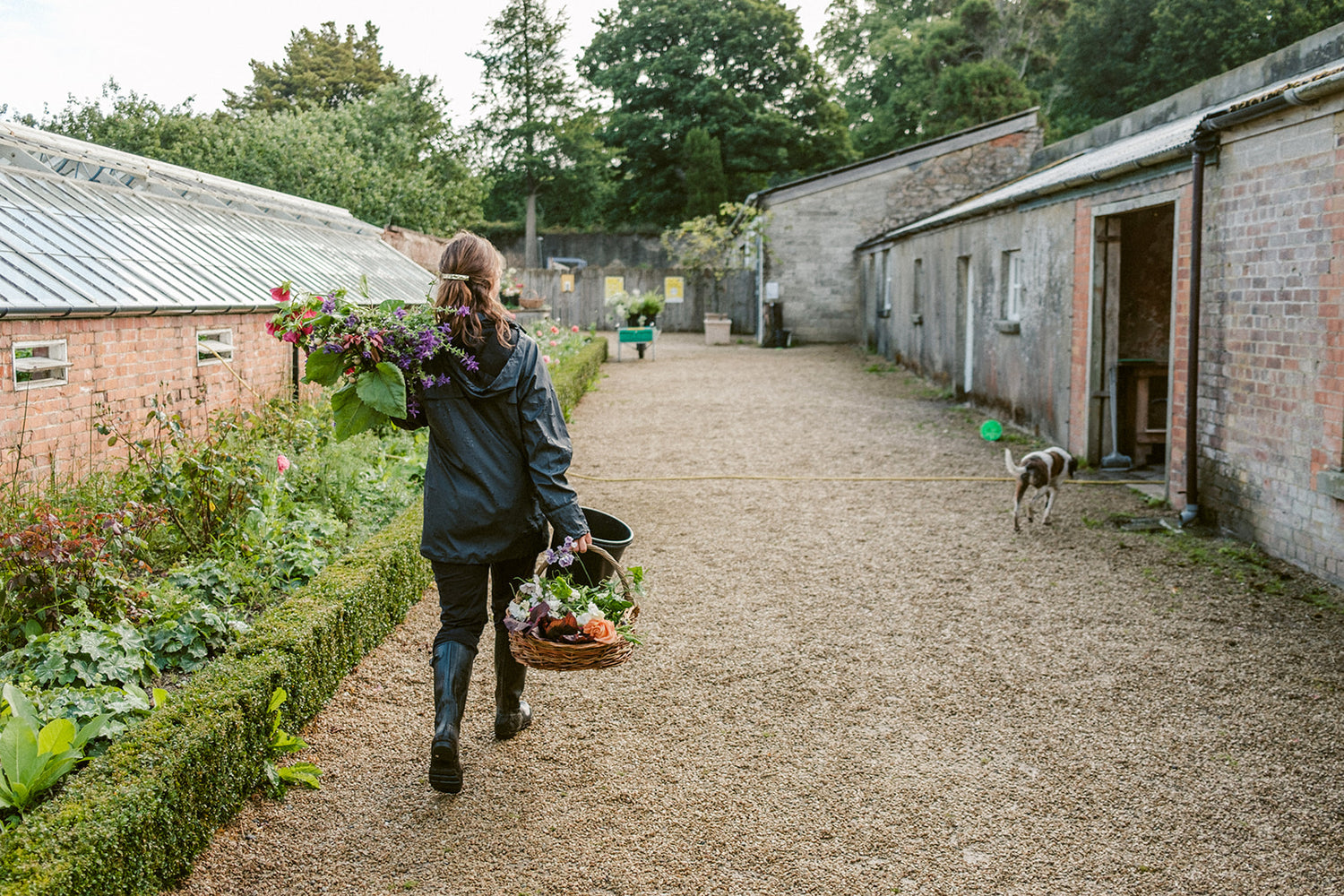 Workshop: Grow Your Own Cut Flowers with Killruddery Gardener Annette Daly