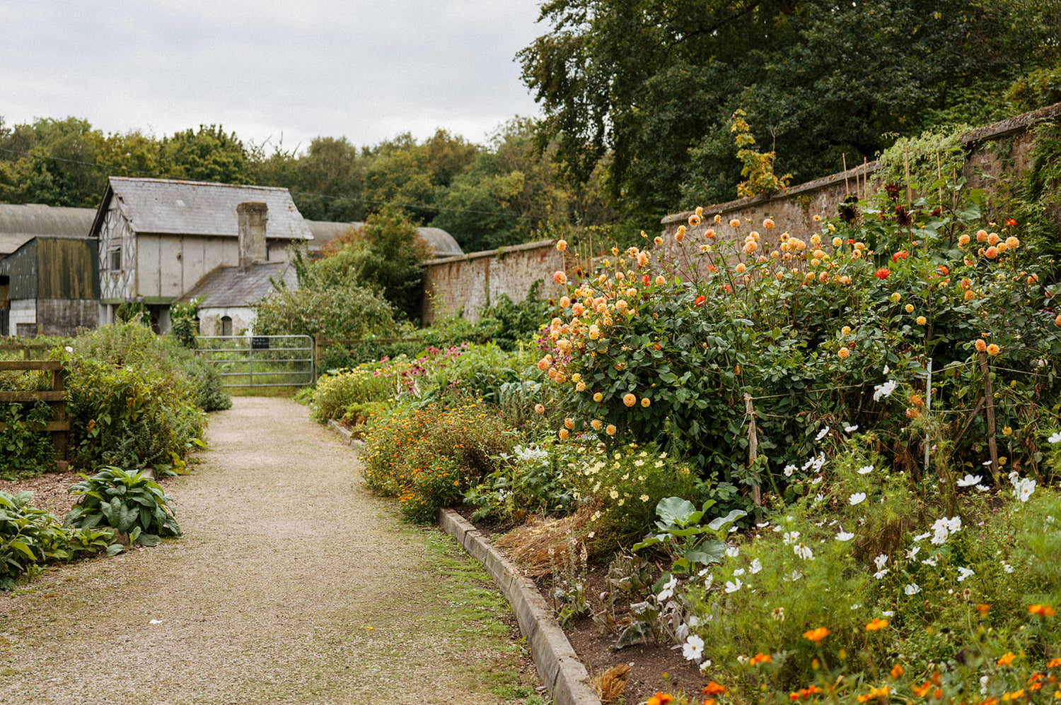 Workshop: Grow Your Own Cut Flowers with Killruddery Gardener Annette Daly