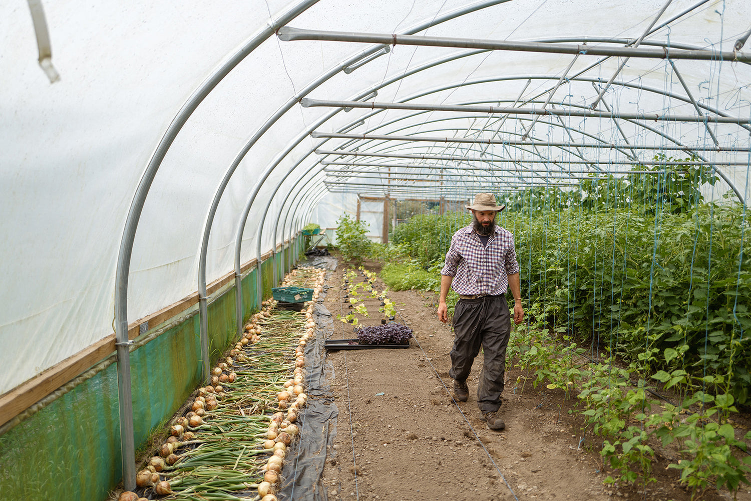 Workshop: Grow Your Own Vegetables with Killruddery Gardener Pat Keady