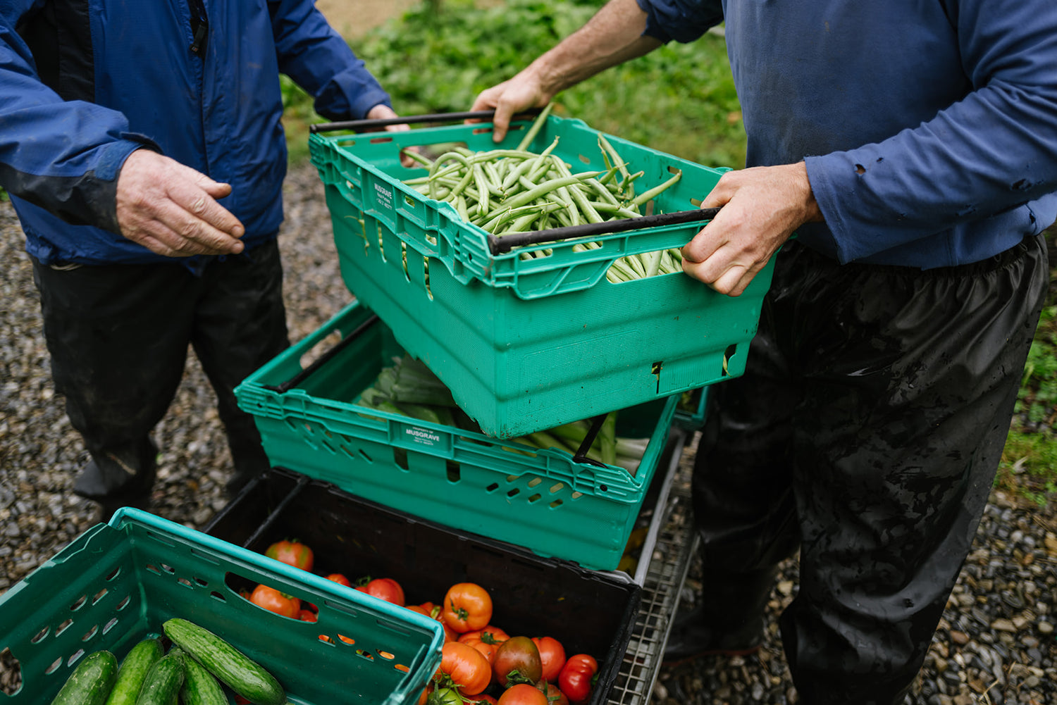 Workshop: Grow Your Own Vegetables with Killruddery Gardener Pat Keady
