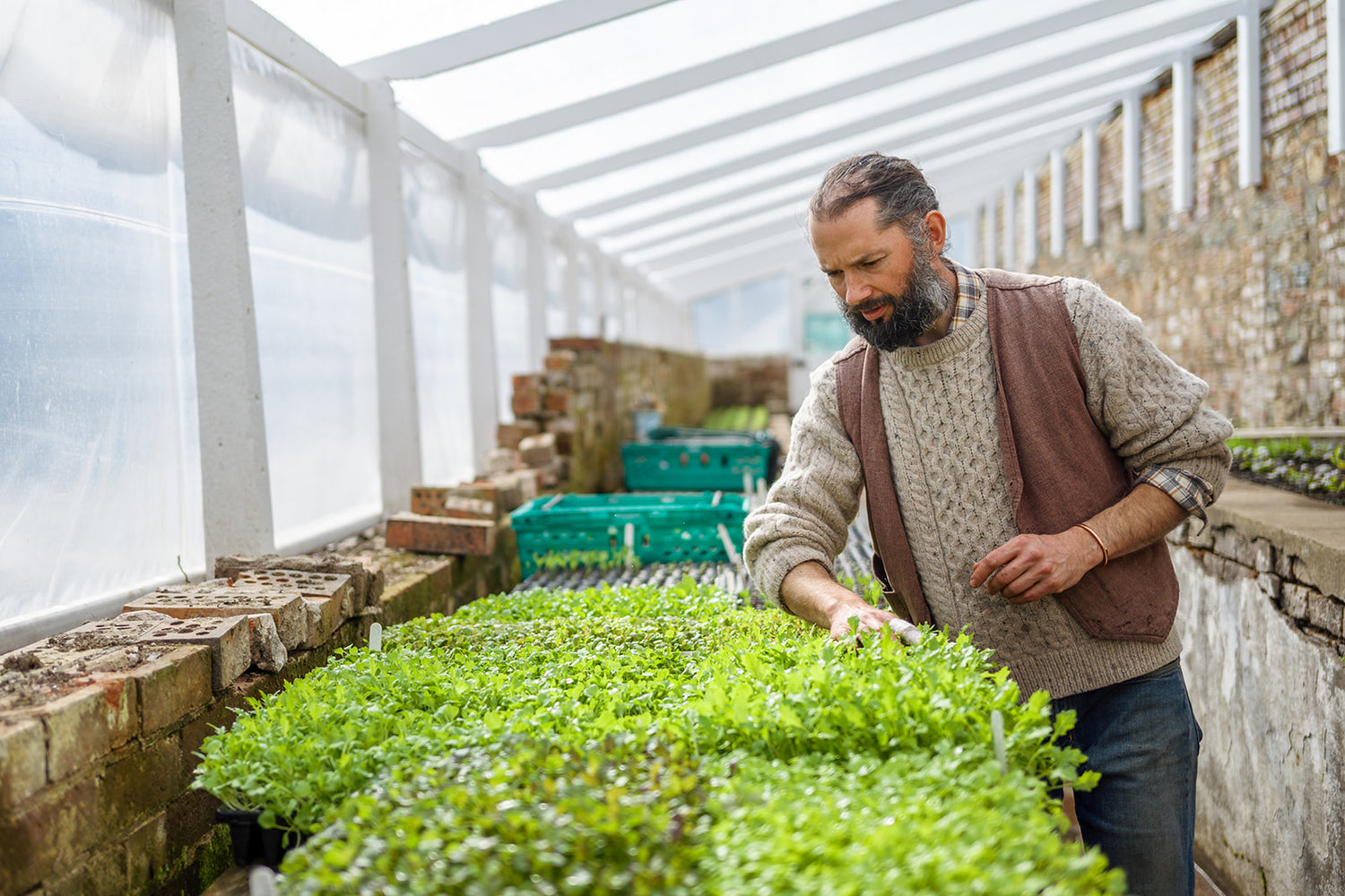 Workshop: Grow Your Own Vegetables with Killruddery Gardener Pat Keady