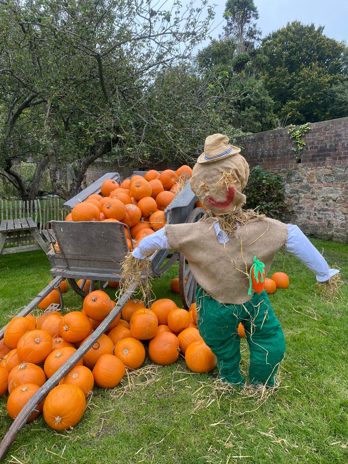 Scarecrow Avenue Competition