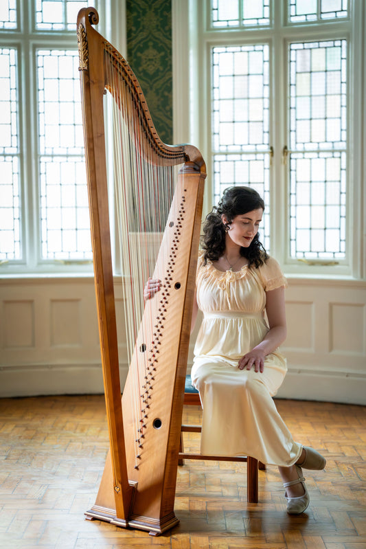 THE HAPPY HAPPY HARP! - A CUSHION CONCERT - WITH THE IBO