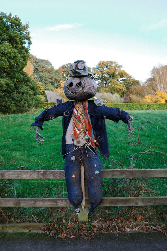 Scarecrow Avenue Competition