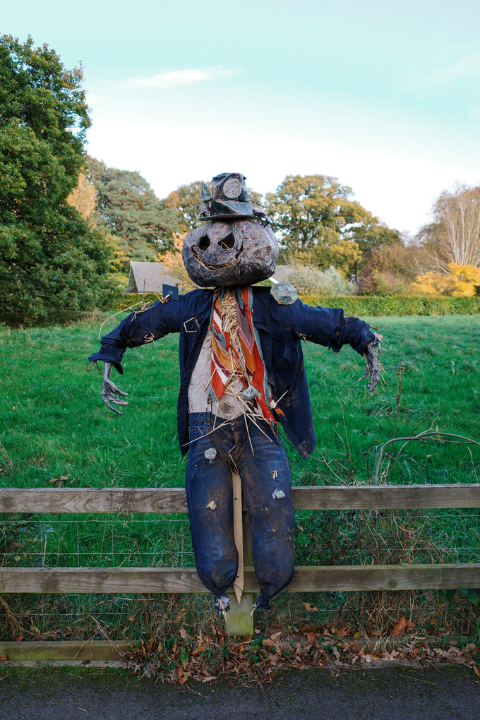 Scarecrow Avenue Competition