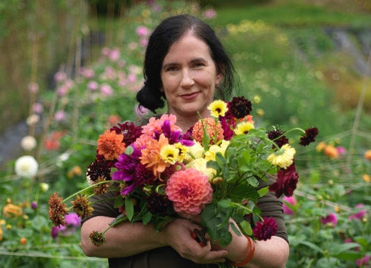 Event Programme – Killruddery House