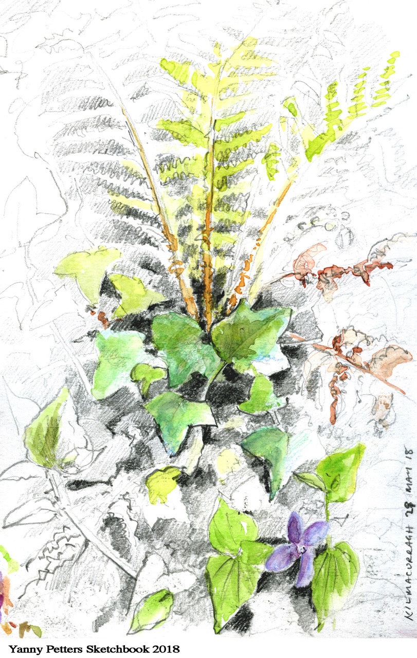 Sold Out - Workshop: Painting Garden Flowers