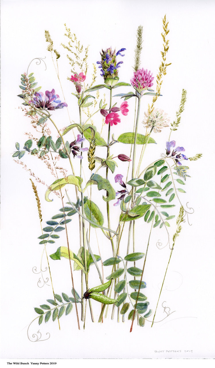 Sold Out - Workshop: Painting Garden Flowers